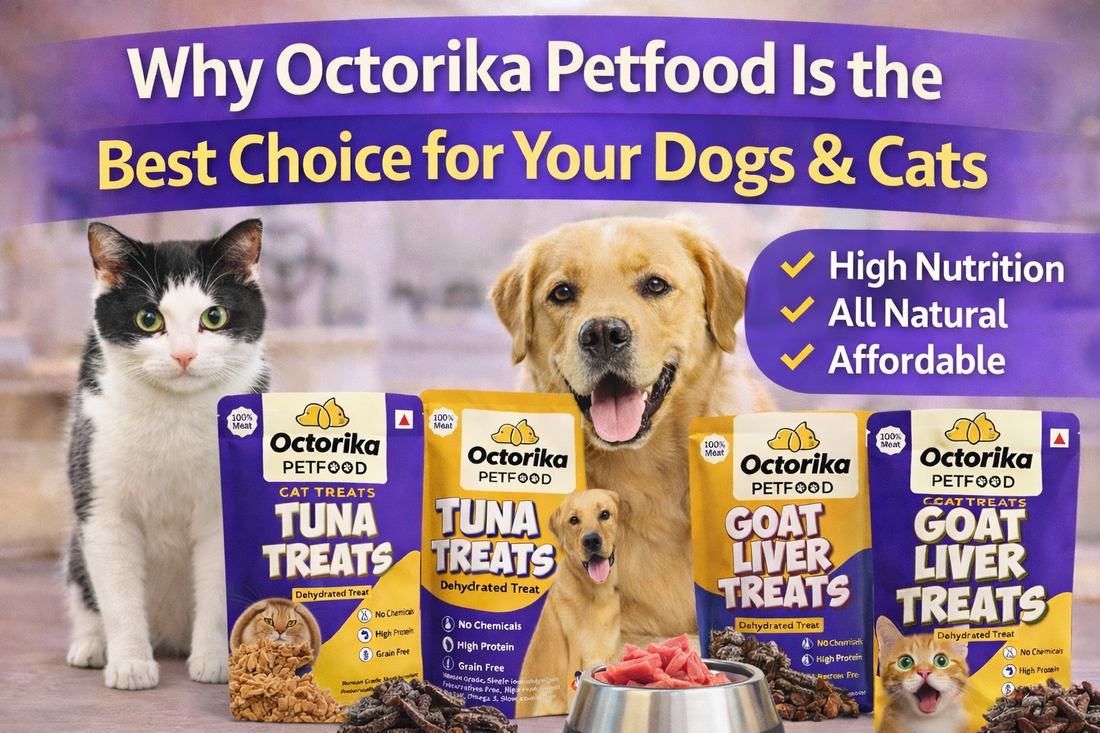 A cat and a dog sitting beside Octorika Petfood treat packets including tuna and goat liver, promoting natural, high-nutrition, affordable pet food for dogs and cats