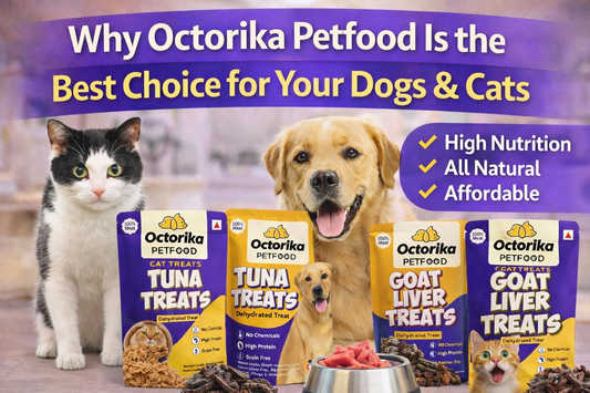 A cat and a dog sitting beside Octorika Petfood treat packets including tuna and goat liver, promoting natural, high-nutrition, affordable pet food for dogs and cats