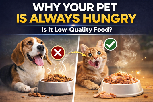 A split thumbnail showing a hungry beagle looking at a bowl of low-quality kibble marked with a red X on the left, and a happy cat eating a bowl of high-protein meat with a green checkmark on the right