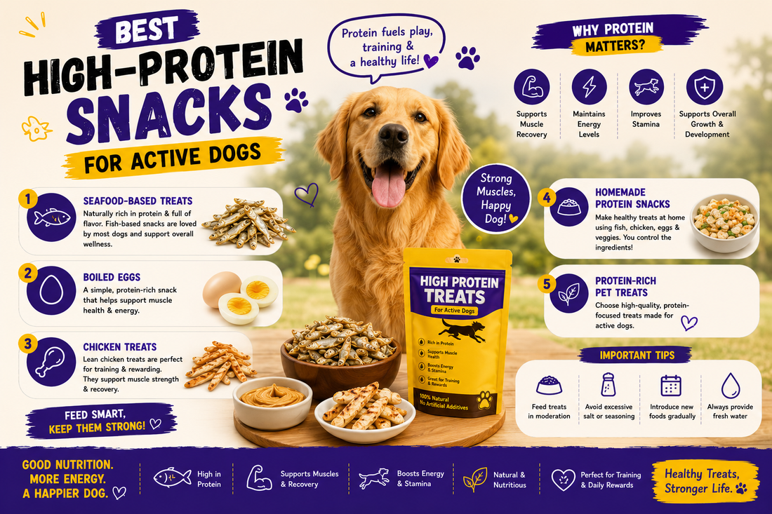 Best High-Protein Snacks for Active Dogs