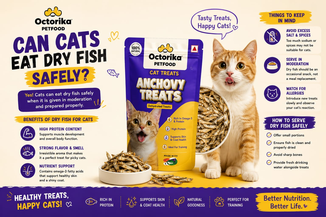 Can Cats Eat Dry Fish Safely?