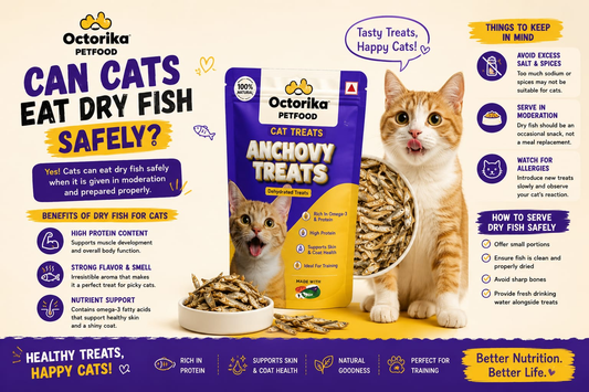 Can Cats Eat Dry Fish Safely?