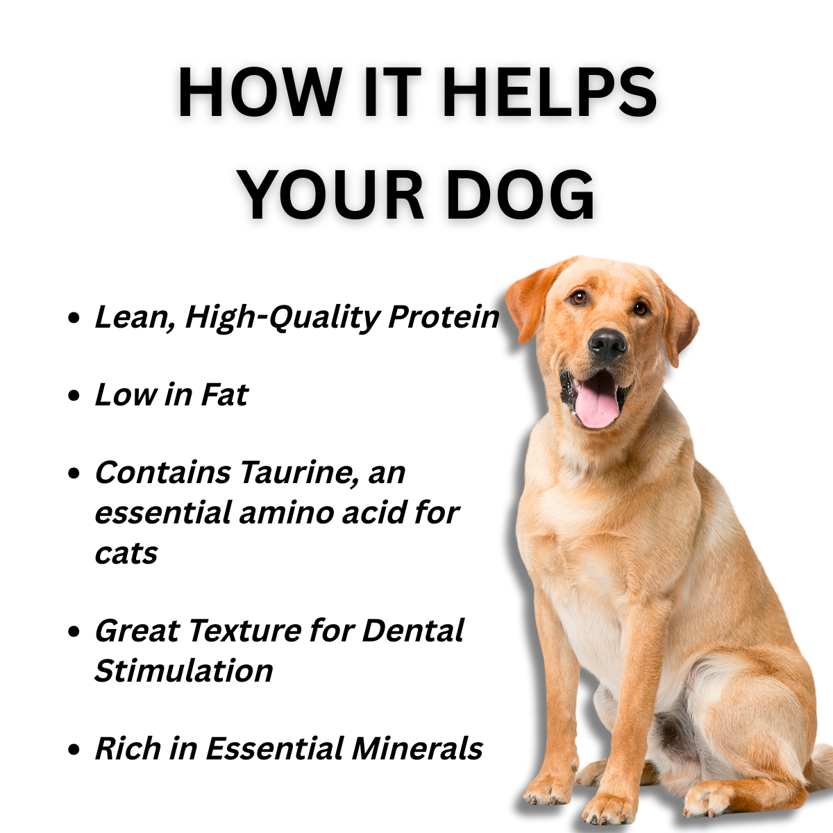 Dog Squid jerky treats