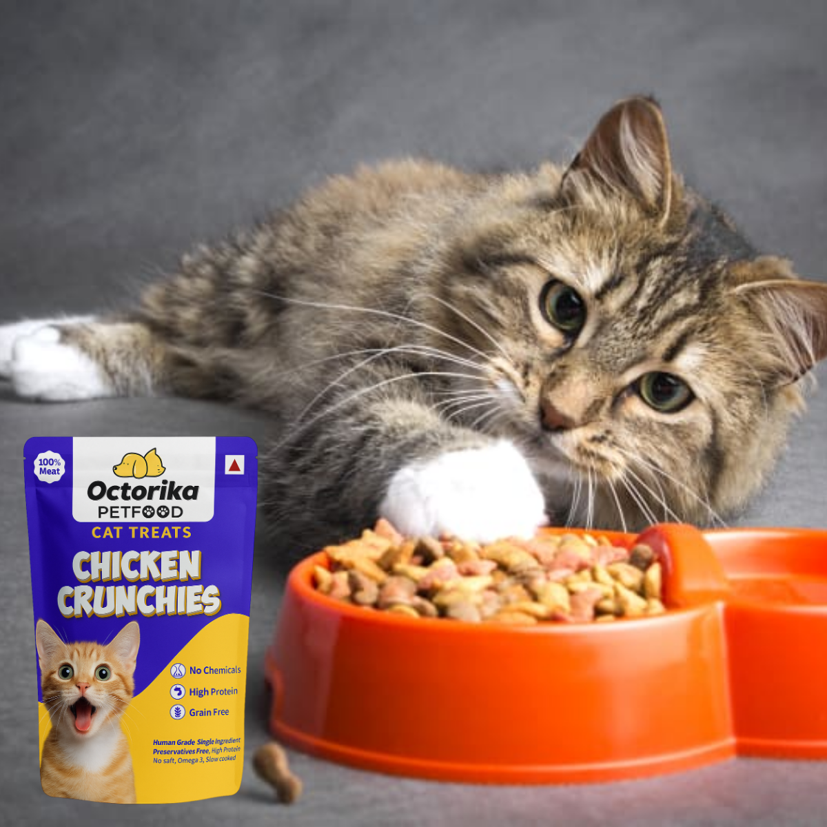 Cat Chicken Crunchies