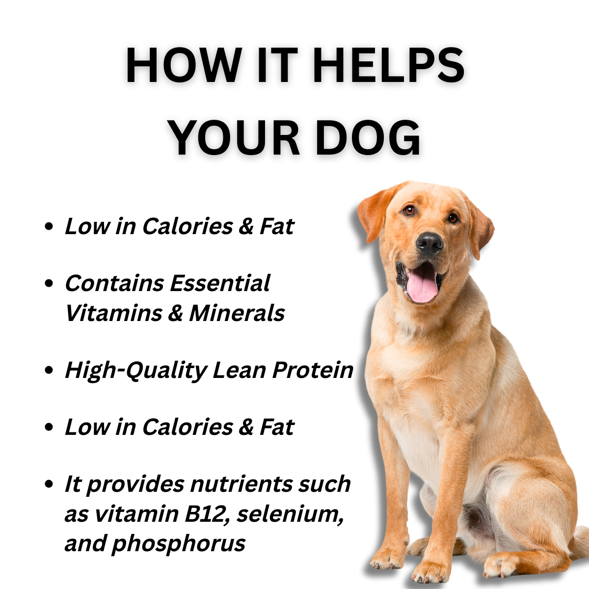 Dog Mahi Mahi treats