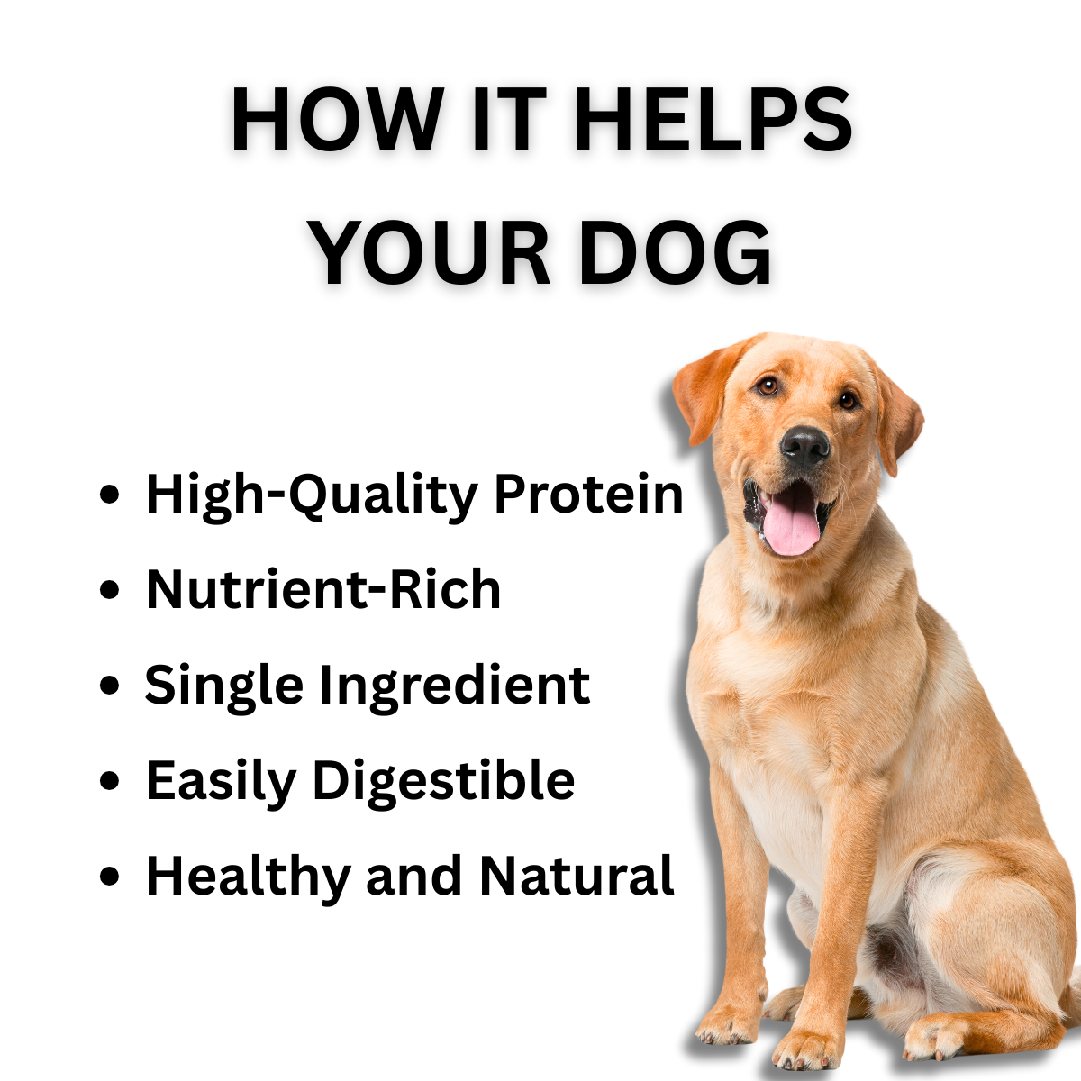 Dog Chicken Gizzard Treats