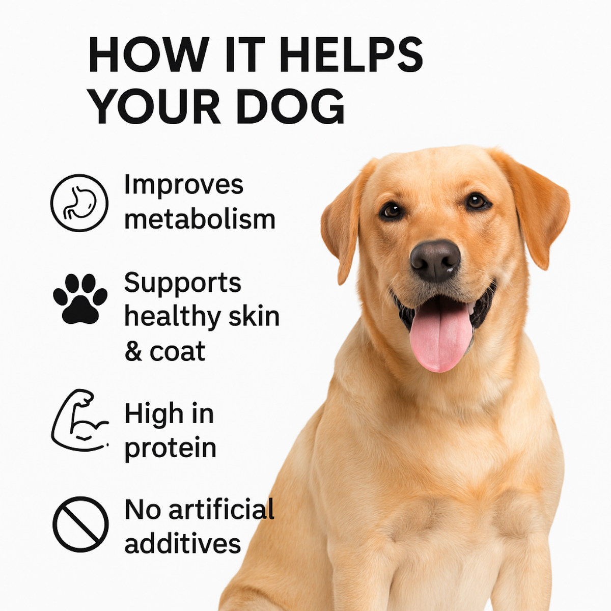 Dog Chicken Feet Treat