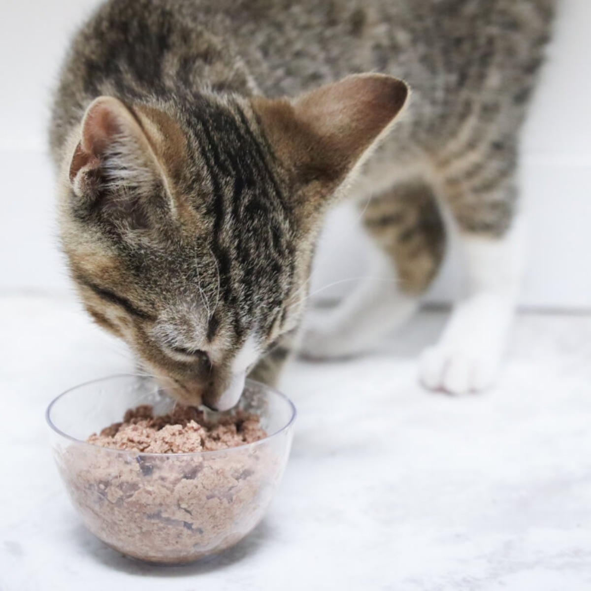 Cat Chicken Liver Treats