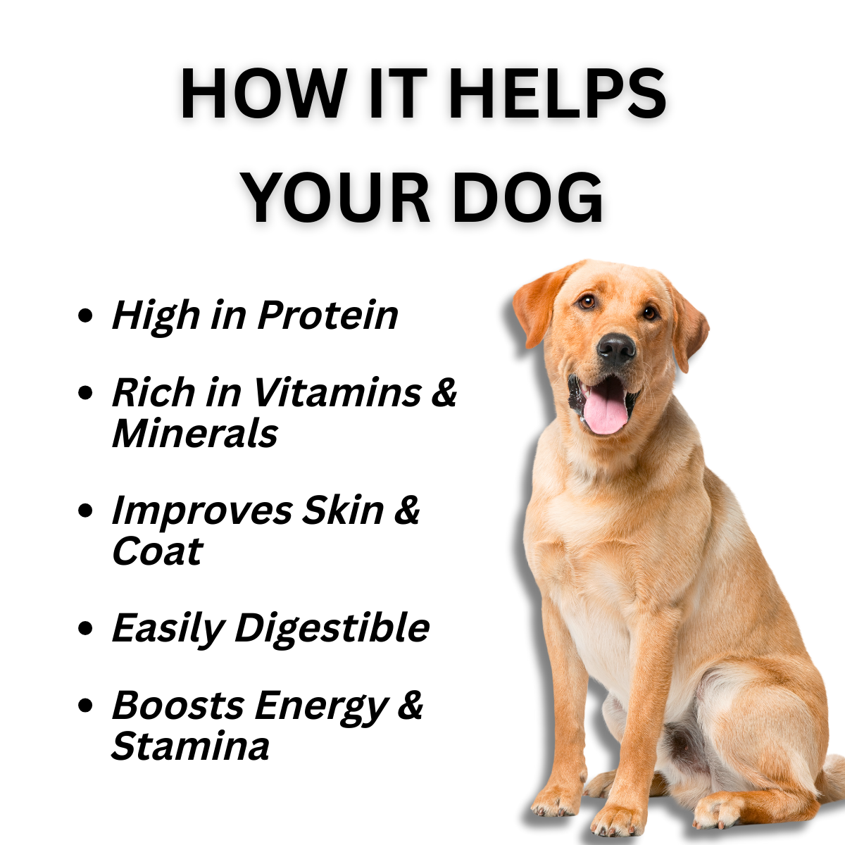 Dog Chicken Liver Treats