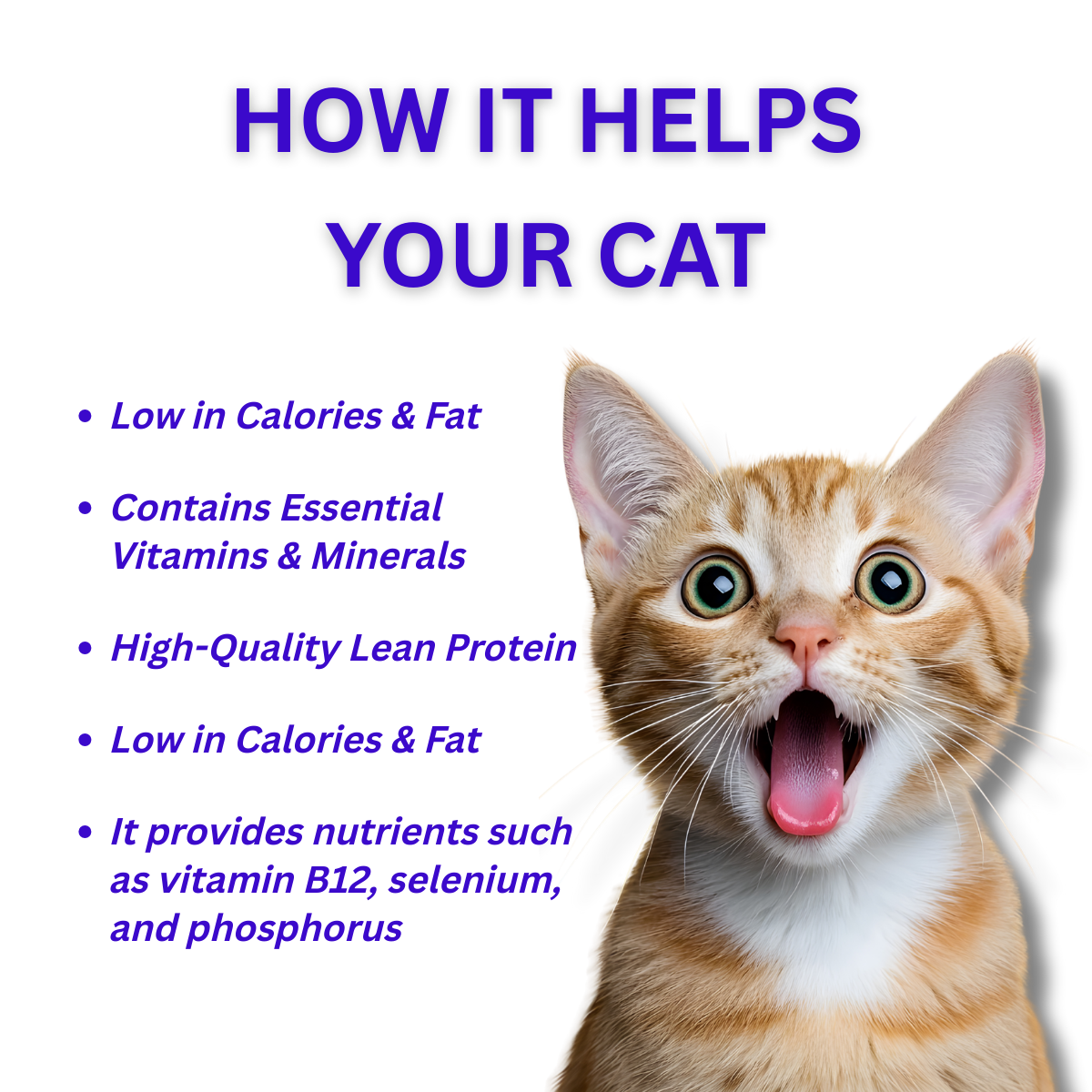 Cat Mahi Mahi Treats