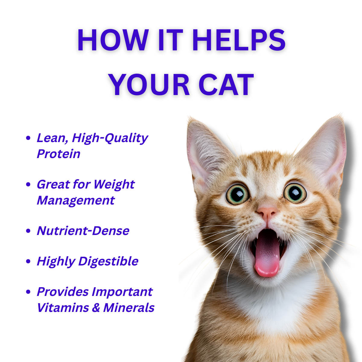 Cat Goat Liver Treats