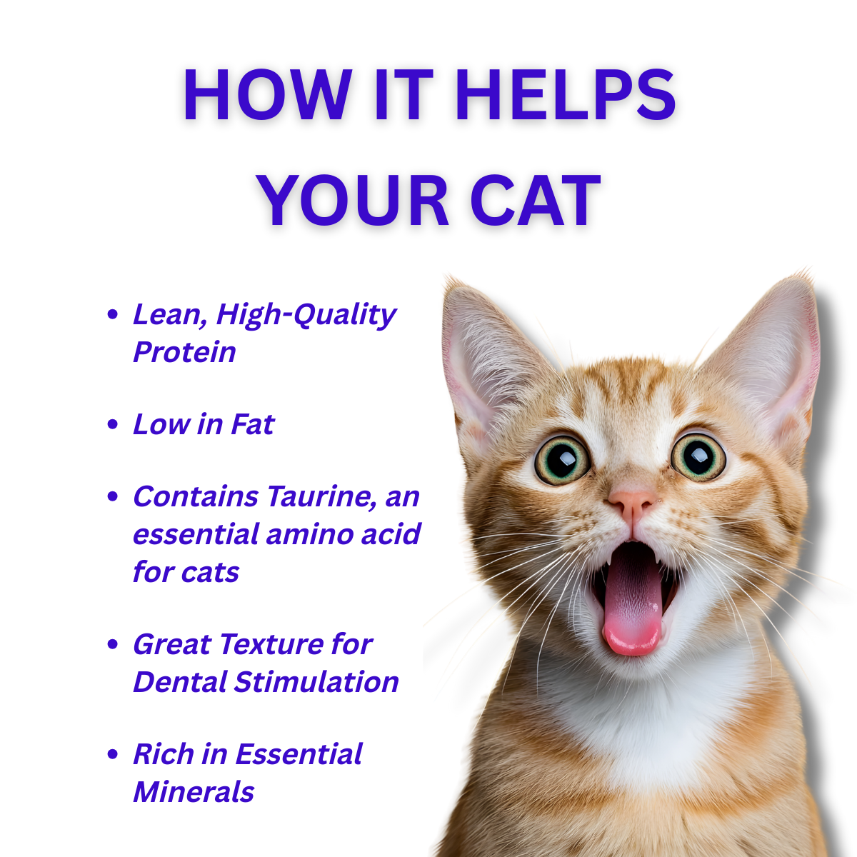 Cat Squid Jerky Treats