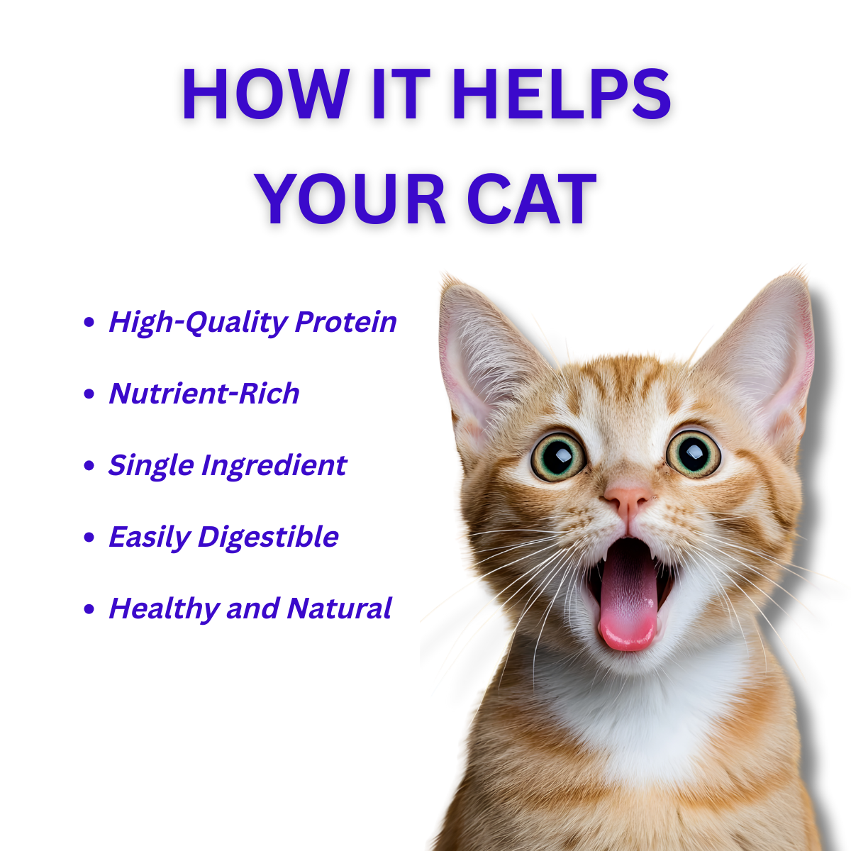 Cat Chicken Gizzard Treats