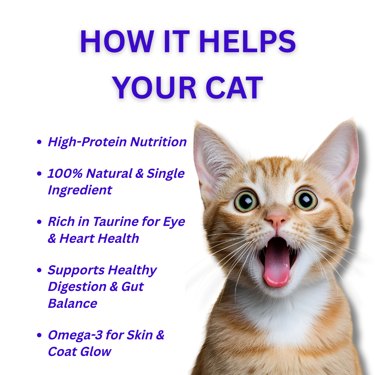 Cat Chicken Crunchies